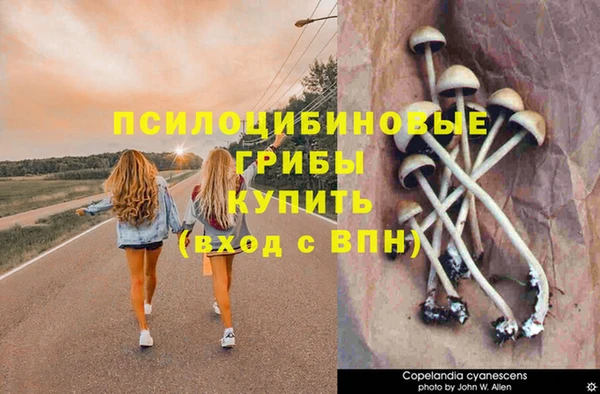 гидропоника Арсеньев