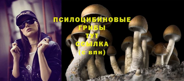 прущие крисы Аркадак