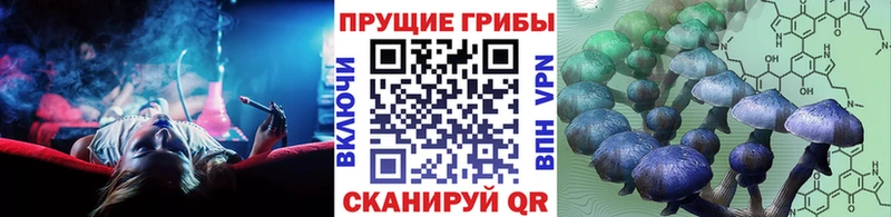 Псилоцибиновые грибы Cubensis  дарнет шоп  Асбест 